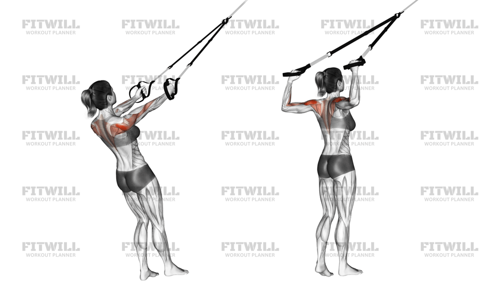 Felfüggesztéses Archoz Húzás