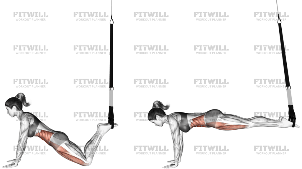 Suspension Front Plank