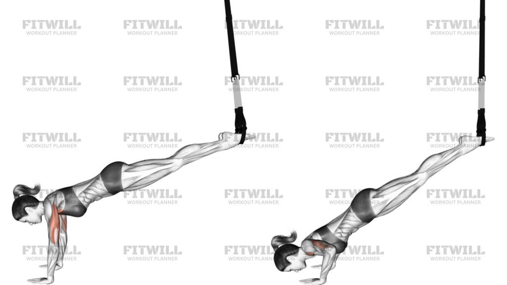 Suspension Incline Push-Up