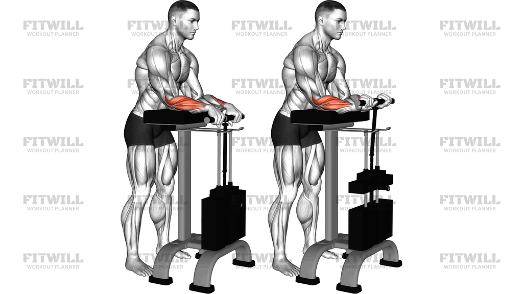Lever Reverse Wrist Curl