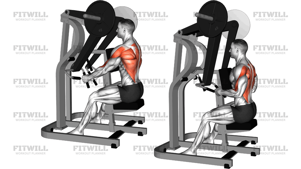 Lever Seated Row (Plate Loaded) (Version 3)