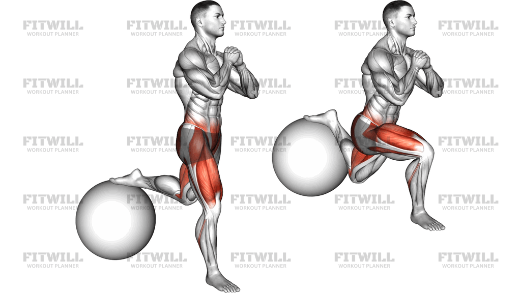 Exercise Ball Single Leg Split Squat