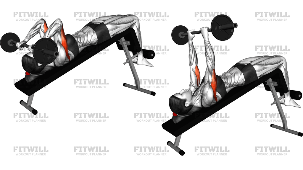 Ez Barbell Decline Triceps Extension