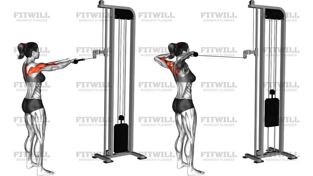 Face Pull Am Kabelzug Stehend (mit Seil)