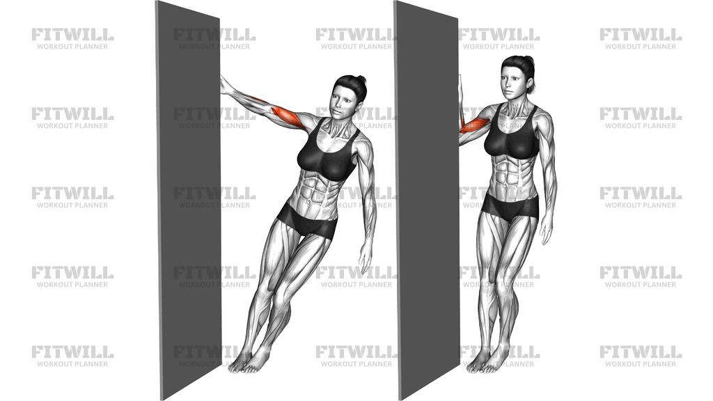 Standing Biceps Curl Door Frame