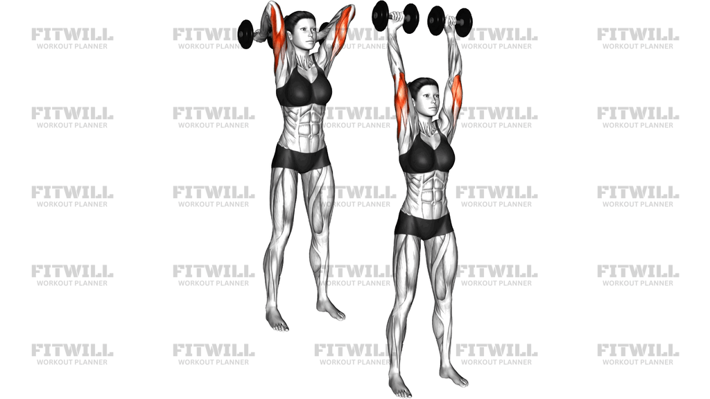 Dumbbell Standing French Press