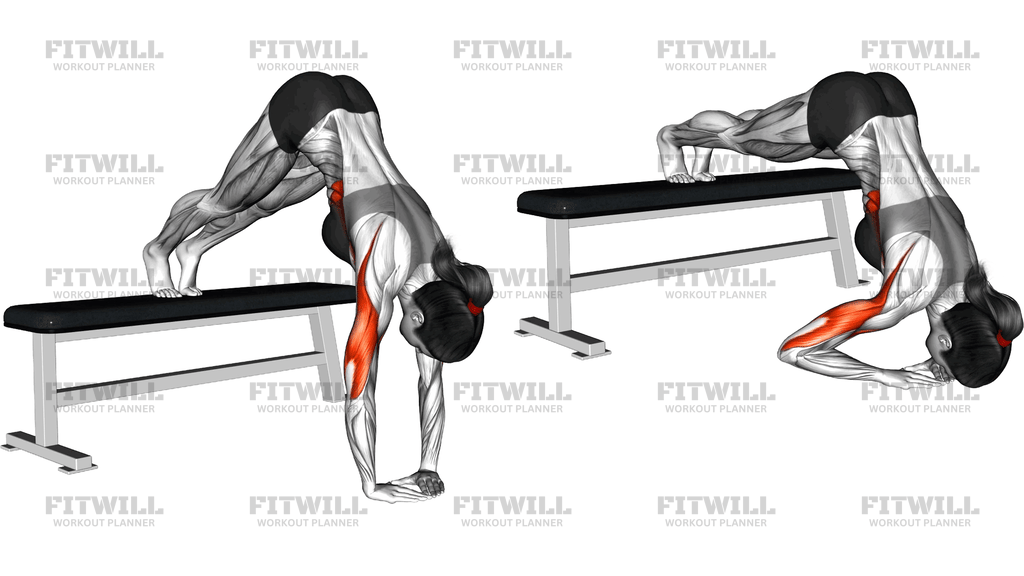 Decline Diamond Pike Push Up