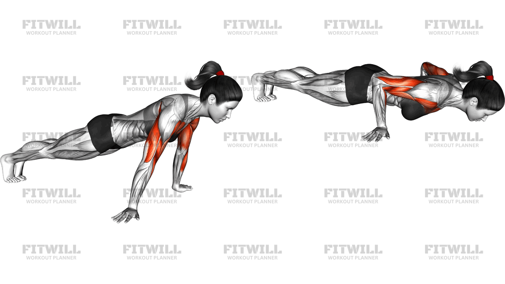 Reverse Push Up