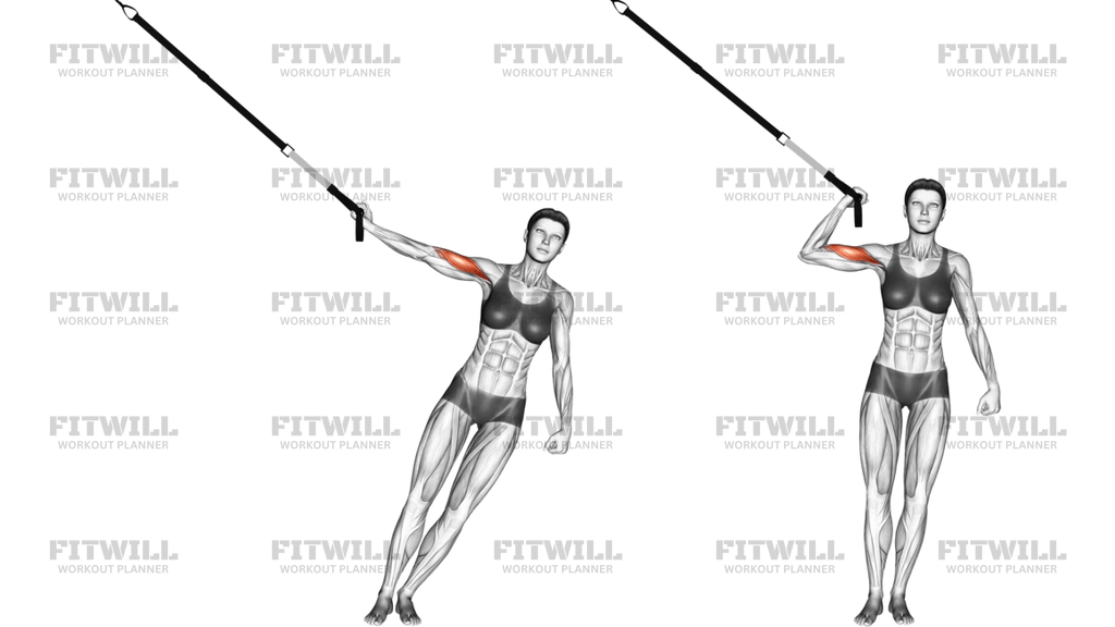 Suspension One-Arm Biceps Curl