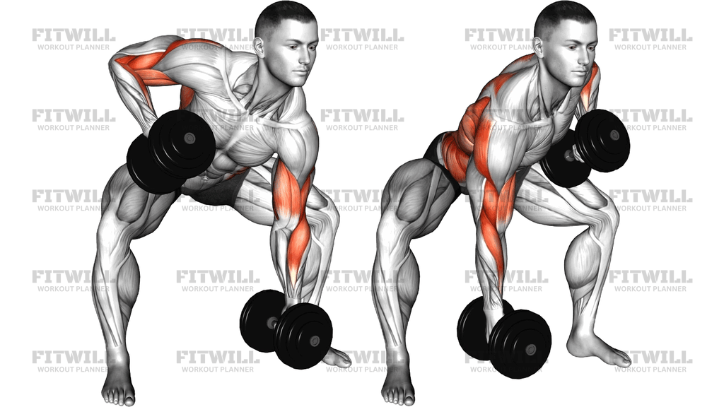 Dumbbell Gorilla Row