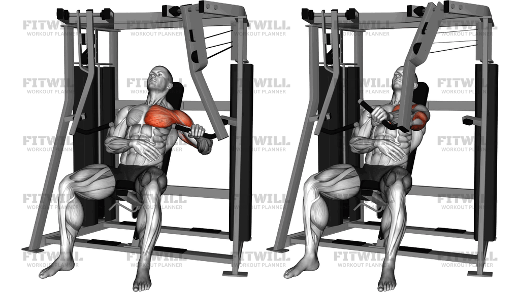 Lever Stack Seated Decline Single Arm Chest Press