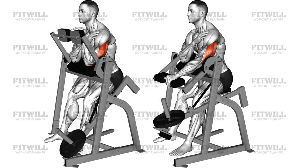 Lever Seated Single Arm Triceps Extension (Plate)