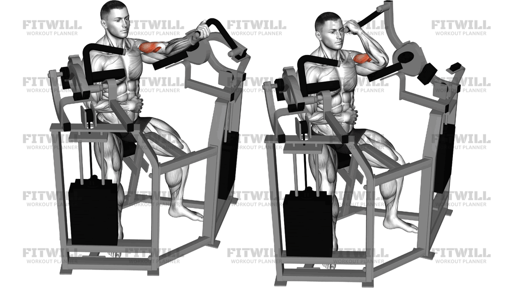 Lever Single Arm Bicep Curl
