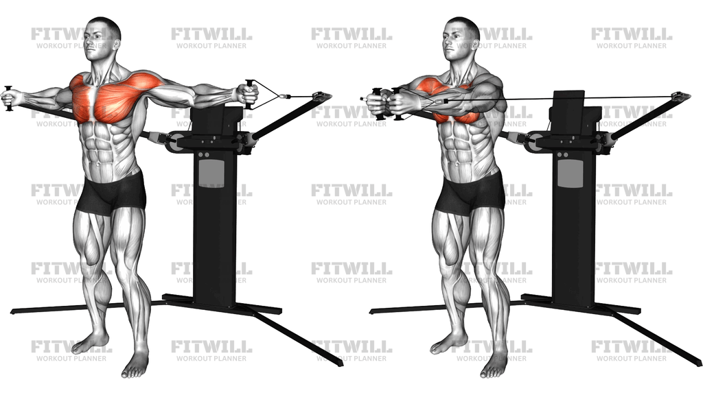 Cable Standing Fly (Version 3)