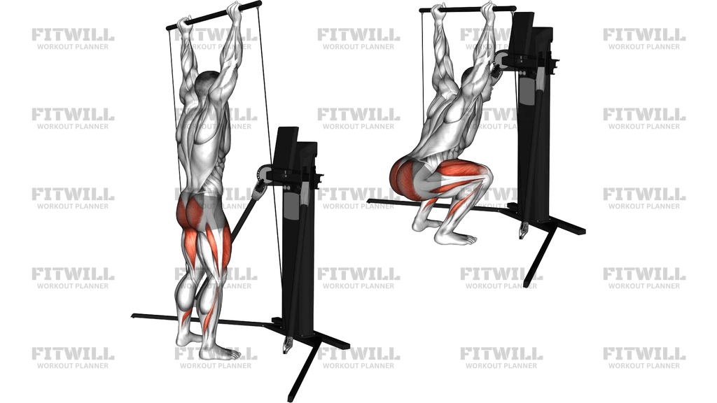 Cable Overhead Squat (Version 3)