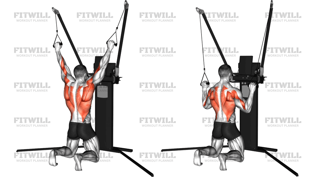 Cable Kneeling Pulldown (Version 3)