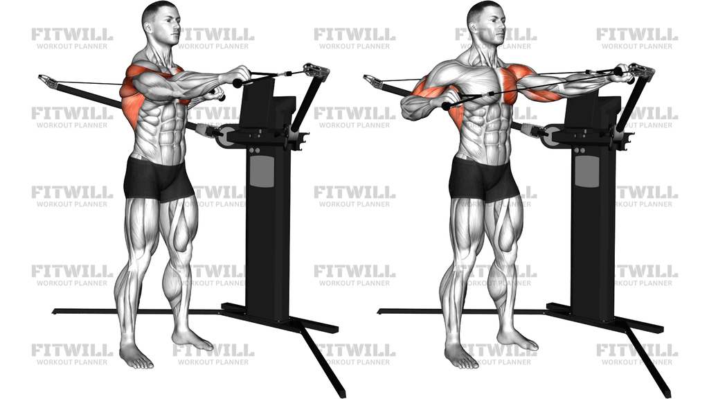 Cable Standing Push Pull (Version 3)