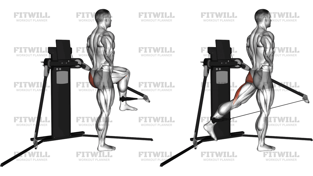 Cable Standing Hip Extension (Version 3)