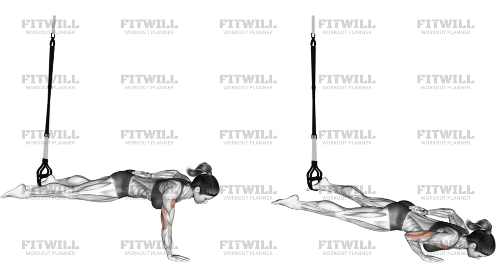 Suspension One-Arm Leg Push-Up