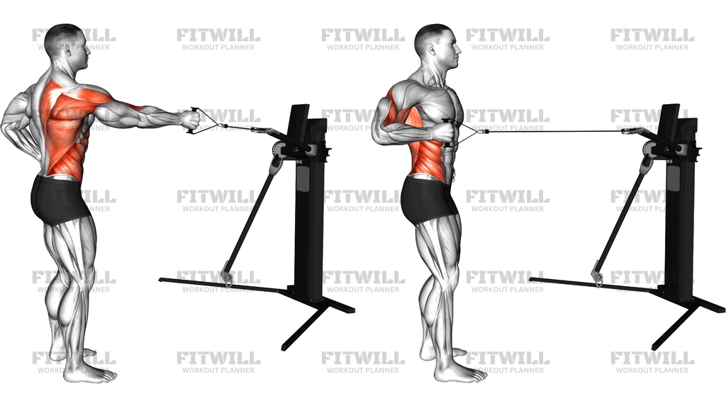 Cable Single Arm Row With Rotation (Version 3)