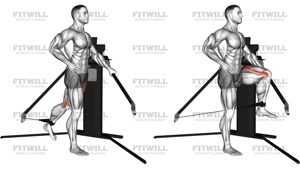 Cable Standing Hip Flexion (Version 3)