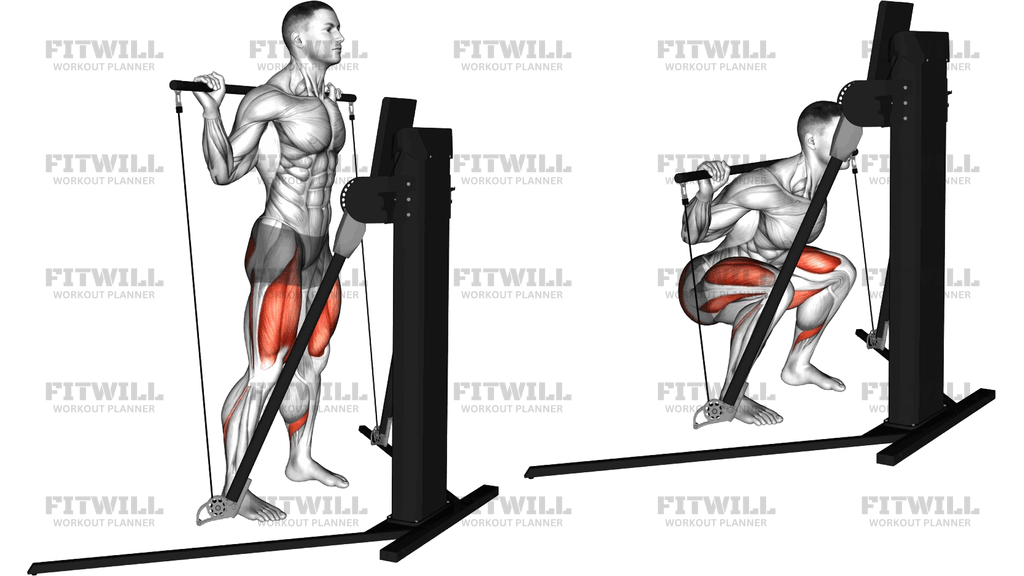 Cable Squat (Version 3)
