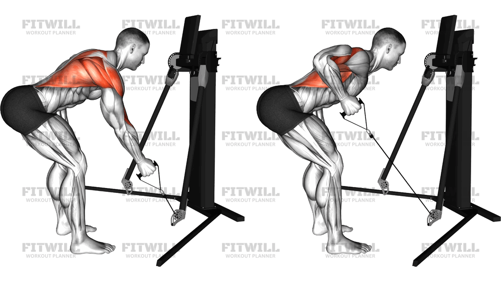 Cable Bent Over Single Arm Row (Version 3)