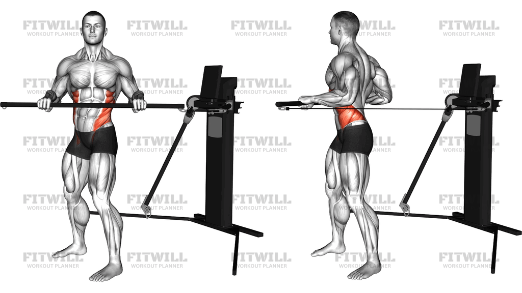 Cable Standing Torso Twist (Version 3)