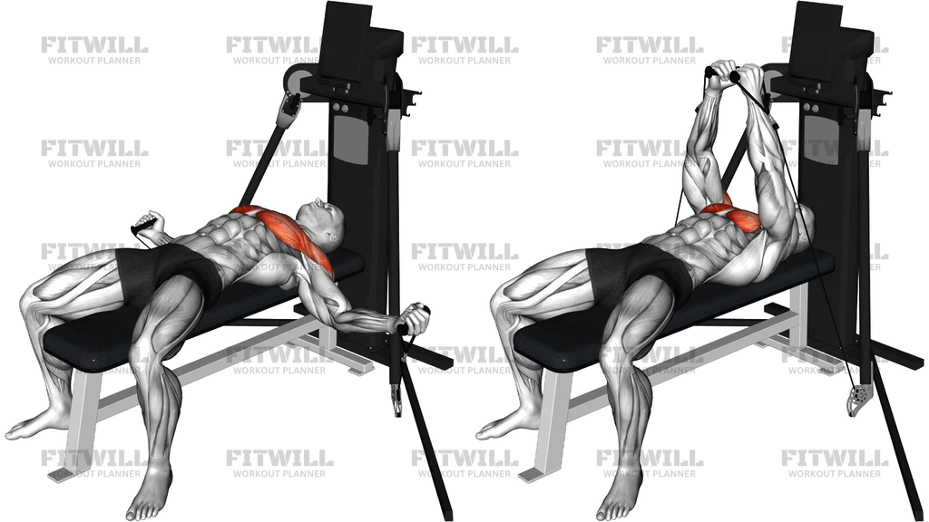Cable Lying Fly (Version 3)