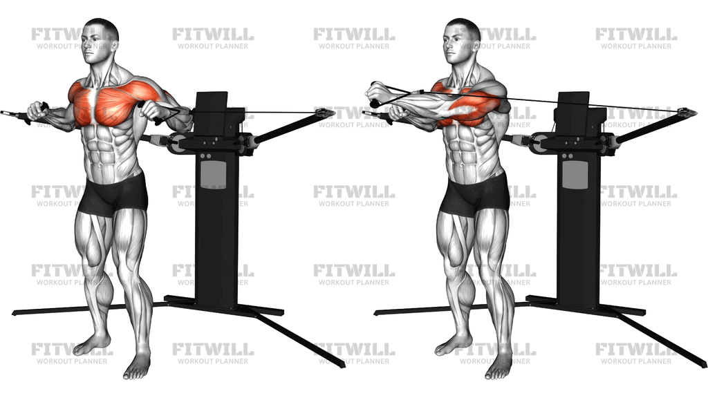 Cable Standing Alternating Diagonal Chest Press