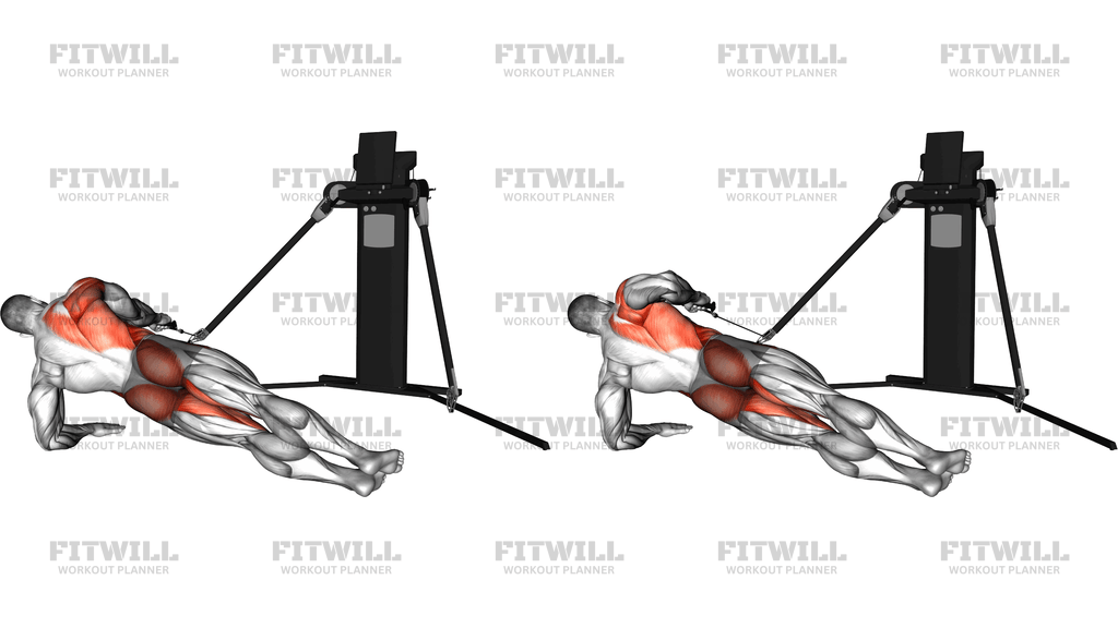 Cable Side Plank Row (Version 3)