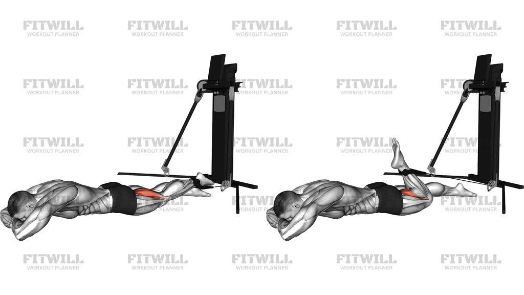 Cable Prone Single Leg Curl (Version 3)