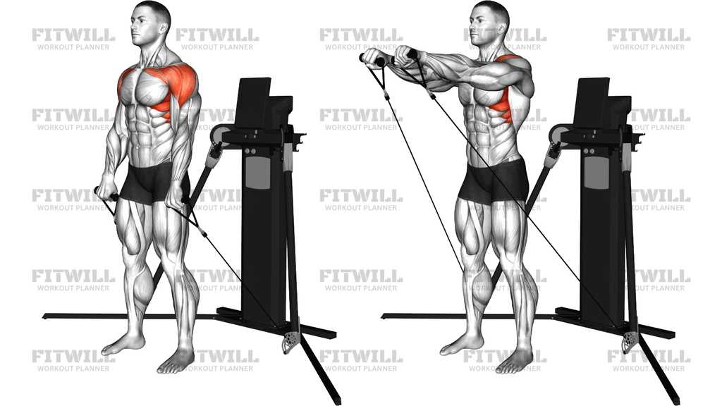 Cable Standing Front Raise (Version 3)
