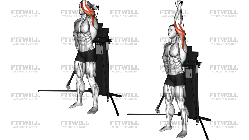 Cable Standing Single Arm Overhead Triceps Extens