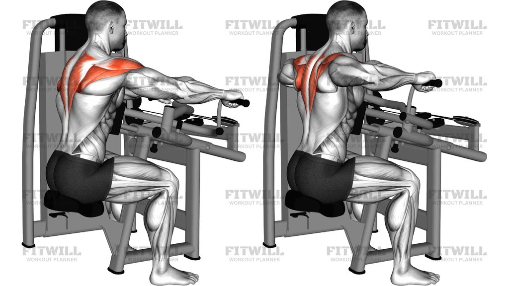 Lever Seated Upper Back Row
