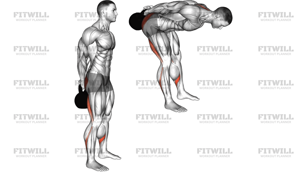 Kettlebell Standing Behind Back Romanian Deadlift