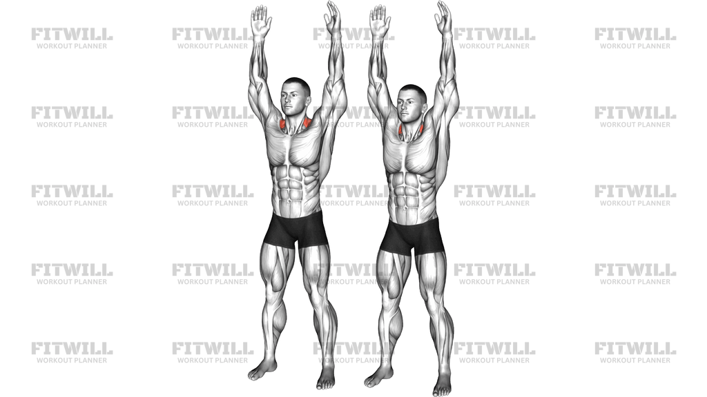 Bodyweight Standing Overhead Shrug