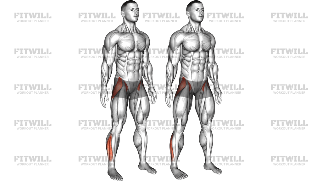 Standing Ankle And Hip Drill