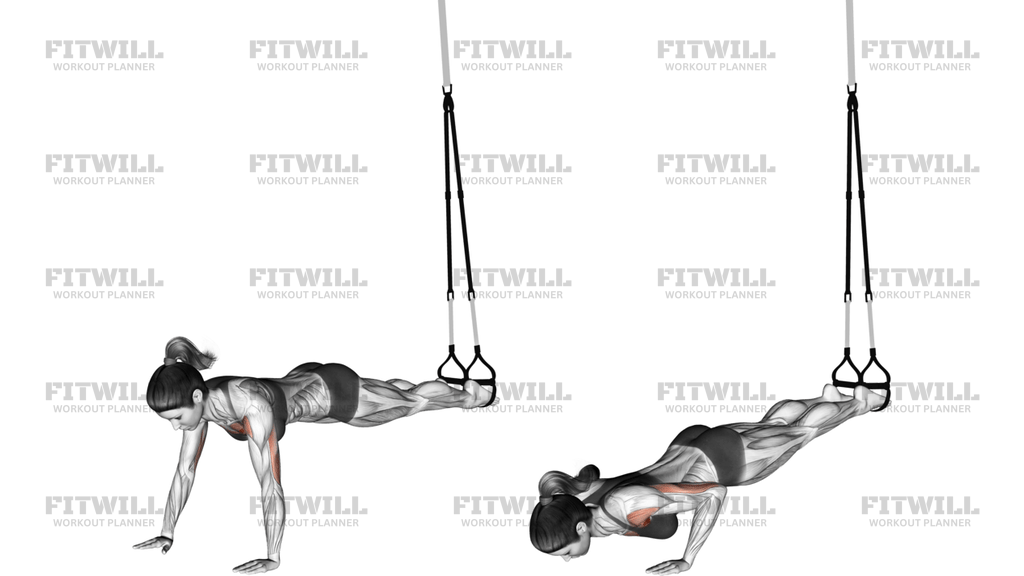 Suspension Push-Up