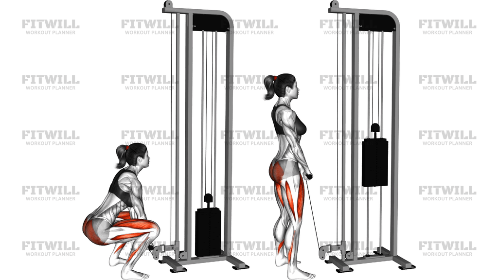 Cable Squat