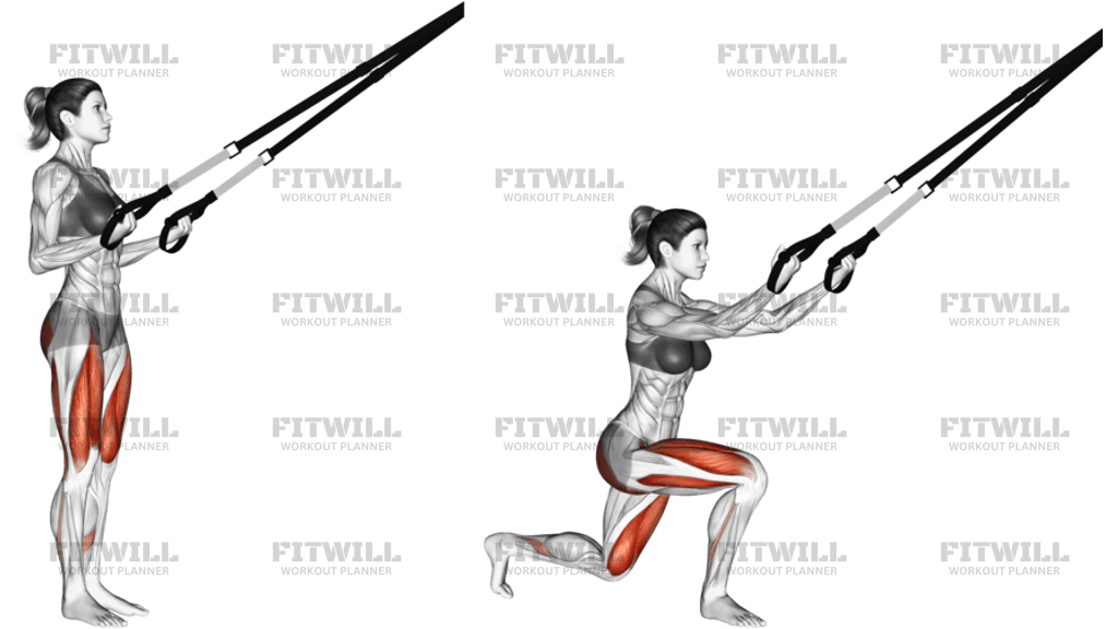 Suspension Rear Lunge