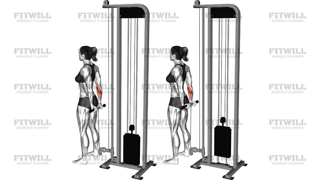 Cable Standing Back Wrist Curl