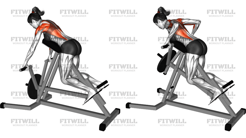 Lever Lying T Bar Row