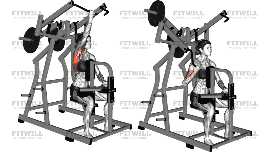 Lever Single Arm Reverse Grip Lateral Pulldown (P)