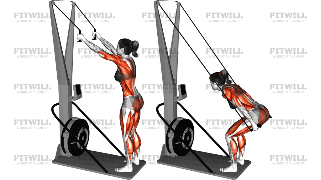 Ski Ergometer