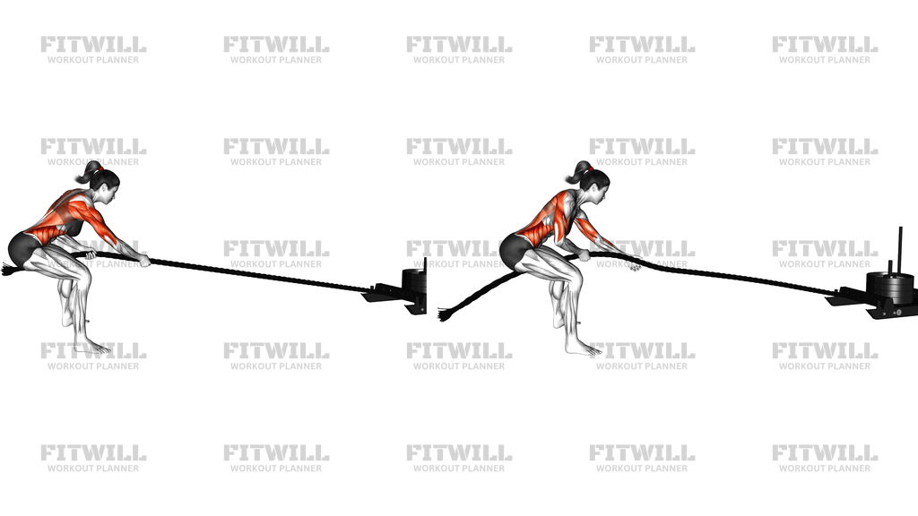 Power Sled Pull