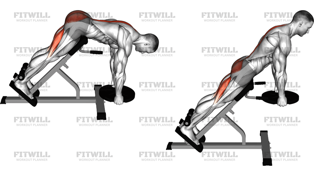 Weighted Plate Hyperextension (Version 2)