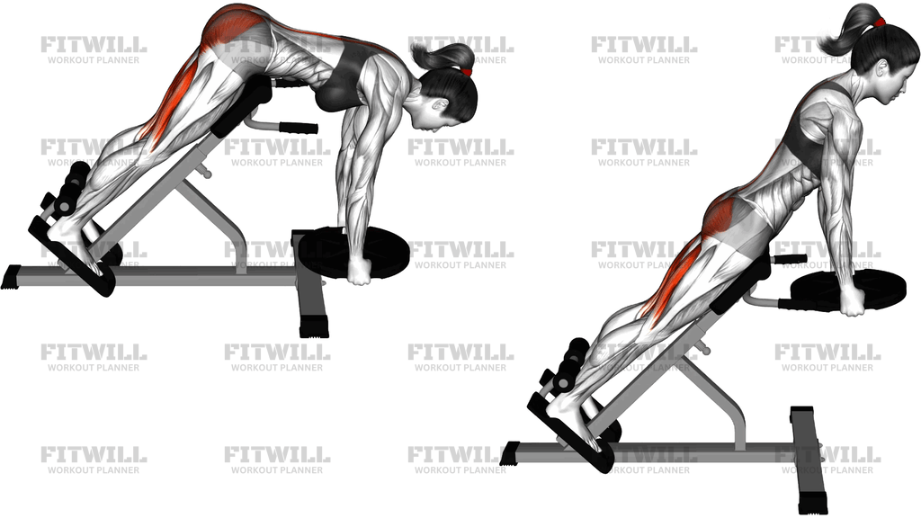 Weighted Plate Hyperextension (Version 2)