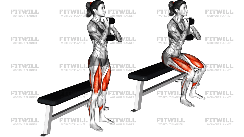 Dumbbell Goblet Box Squat