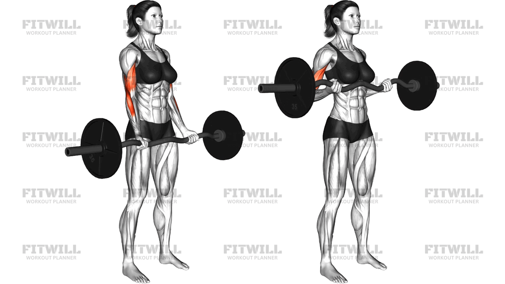 Ez Barbell Drag Curl (Version 2)